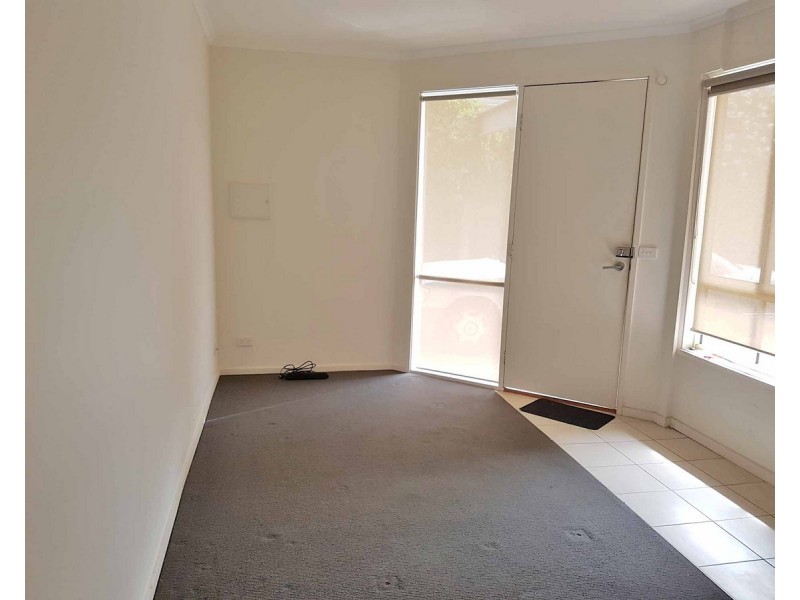 8/75 Palmerston Street, Carlton VIC 3053