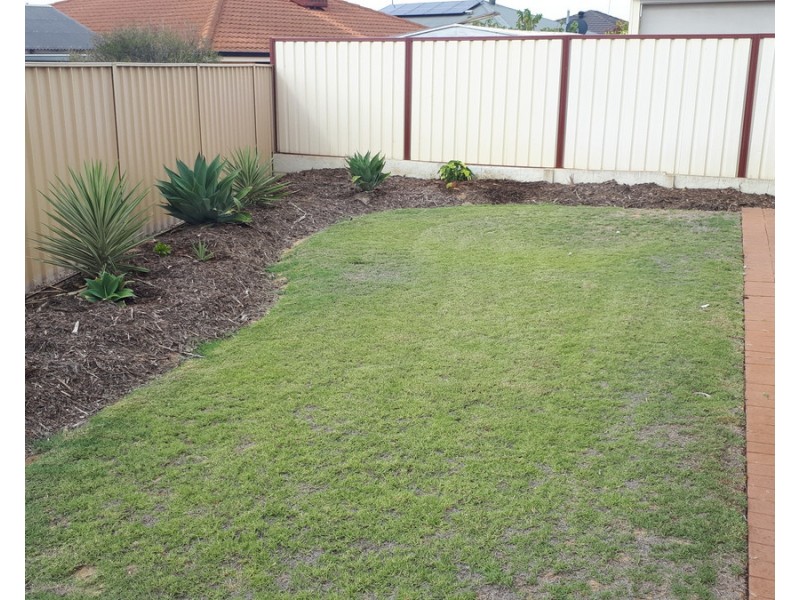 8 Nairana Place, Currambine WA 6028