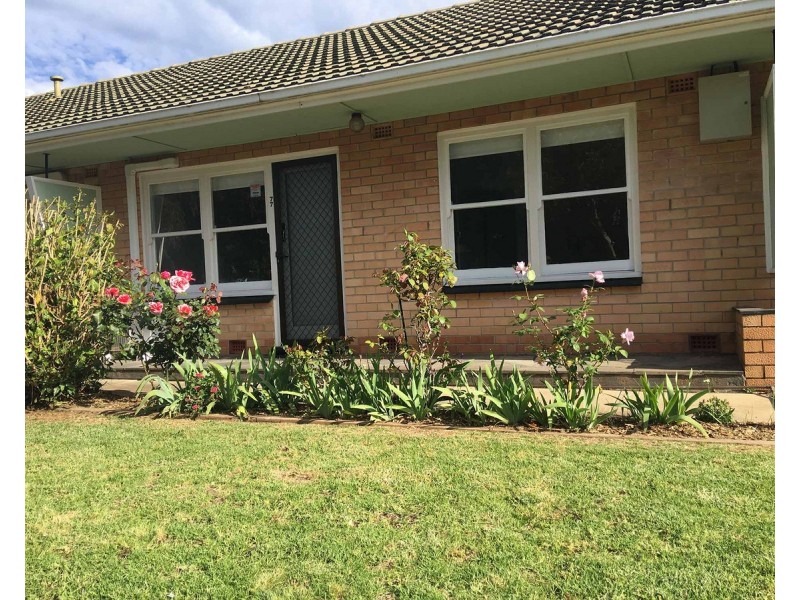 4/77 Dudley Avenue, Daw Park SA 5041