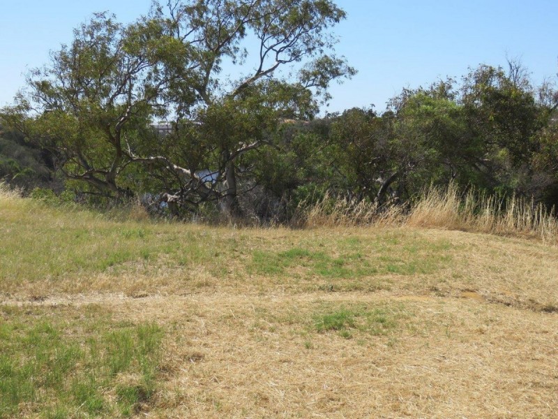 501 Chapman Road, Bluff Point WA 6530