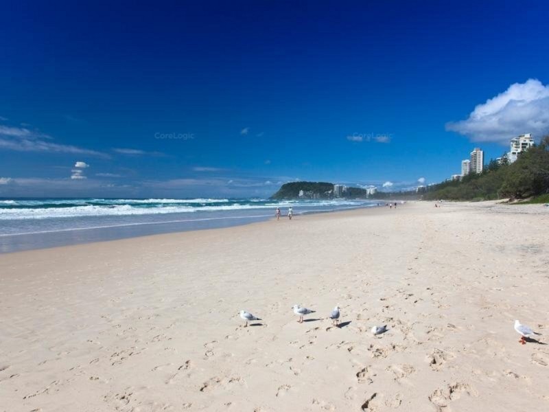 16/31 Connor Street, Burleigh Heads QLD 4220