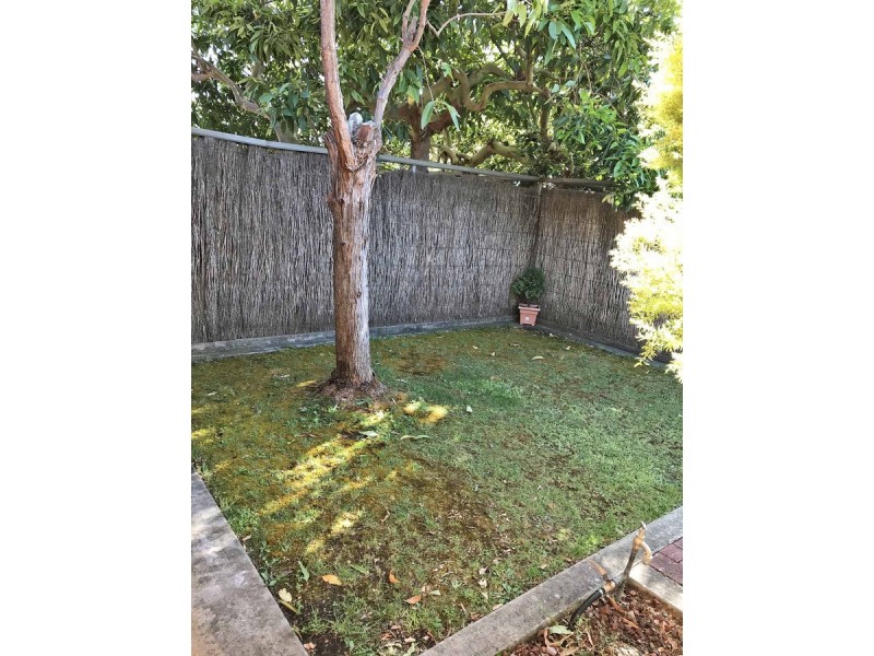 5/8 Chapel Street, Campbelltown SA 5074