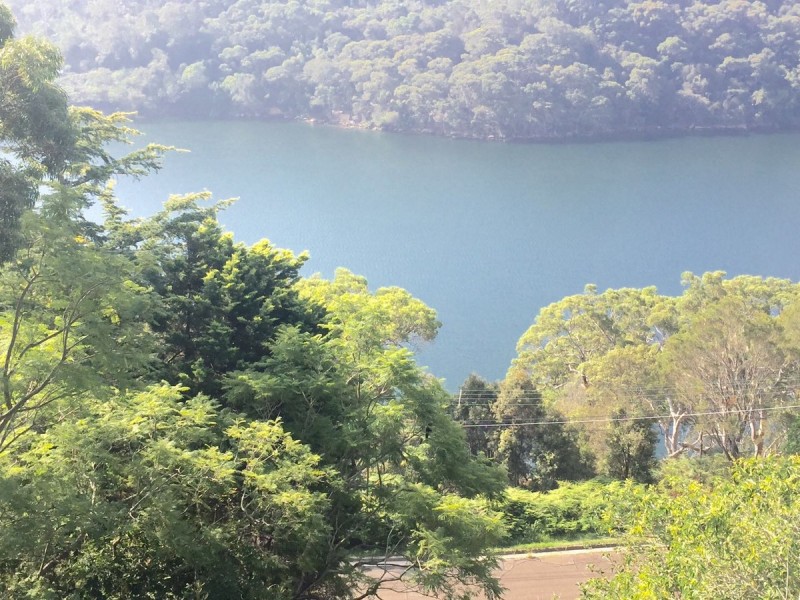 111 Neerim Road, Castle Cove NSW 2069