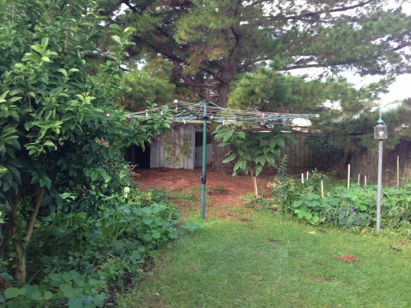 36 George Street, Norwood SA 5067