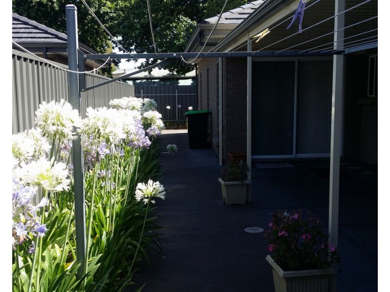 33 Gurrs Road, Beulah Park SA 5067