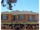 43 Lincoln Road, Paradise SA 5075