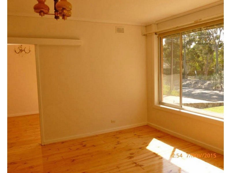 43 Lincoln Road, Paradise SA 5075