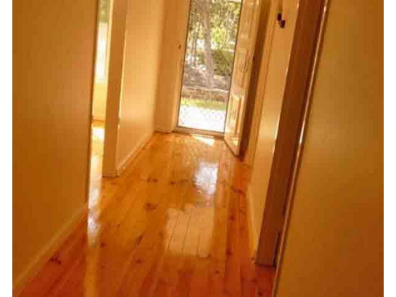 43 Lincoln Road, Paradise SA 5075