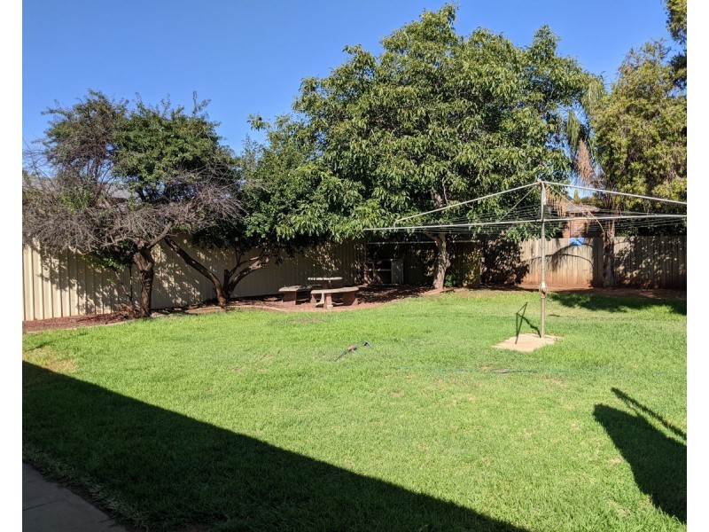 43 Lincoln Road, Paradise SA 5075