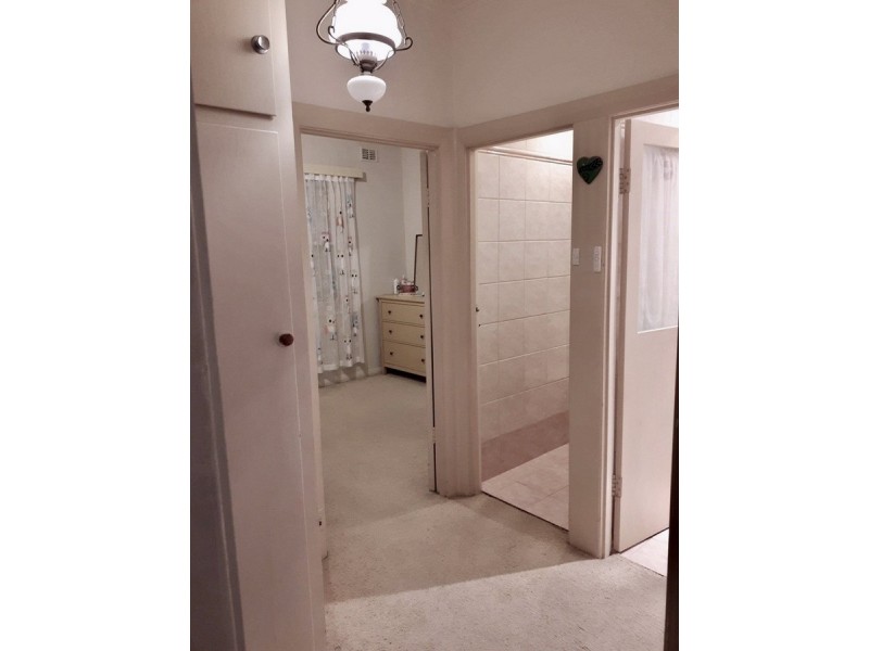 17 Finchley Street, Clovelly Park SA 5042