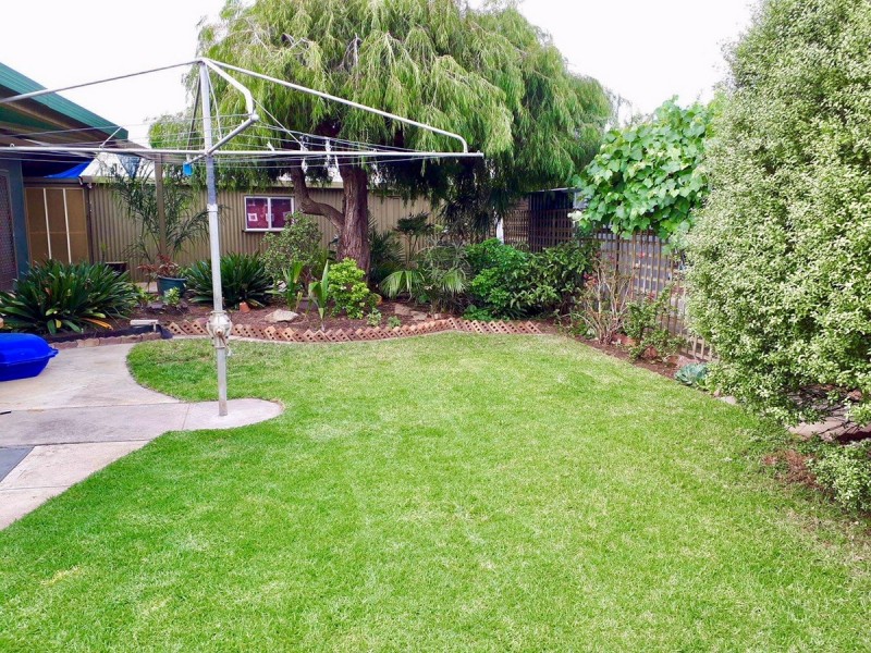 17 Finchley Street, Clovelly Park SA 5042