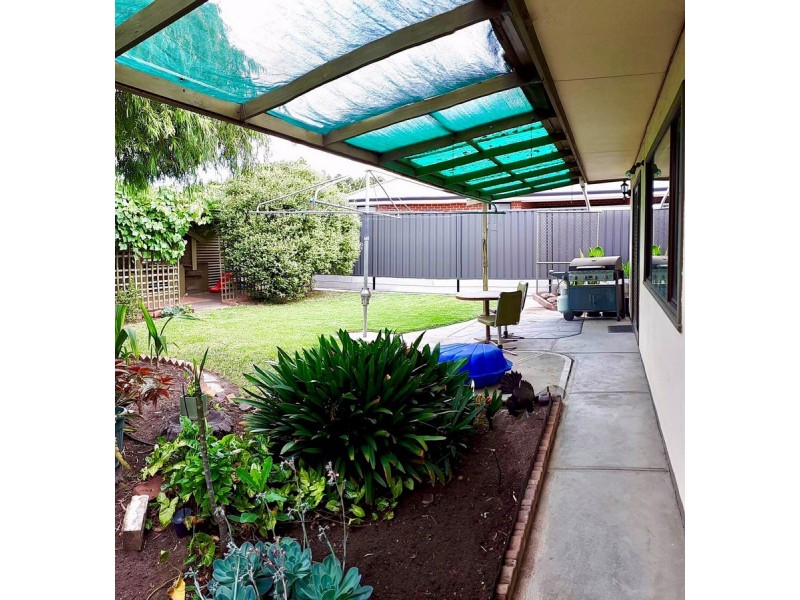 17 Finchley Street, Clovelly Park SA 5042