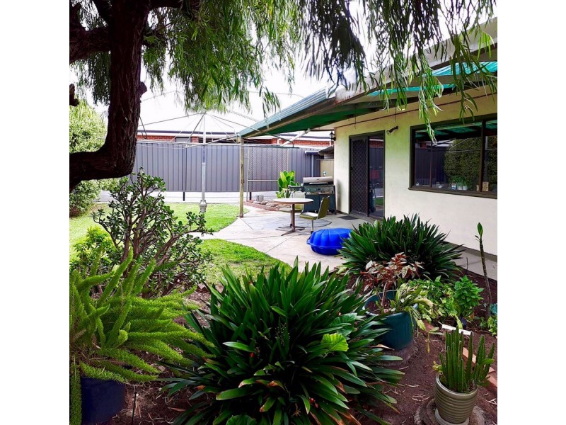 17 Finchley Street, Clovelly Park SA 5042