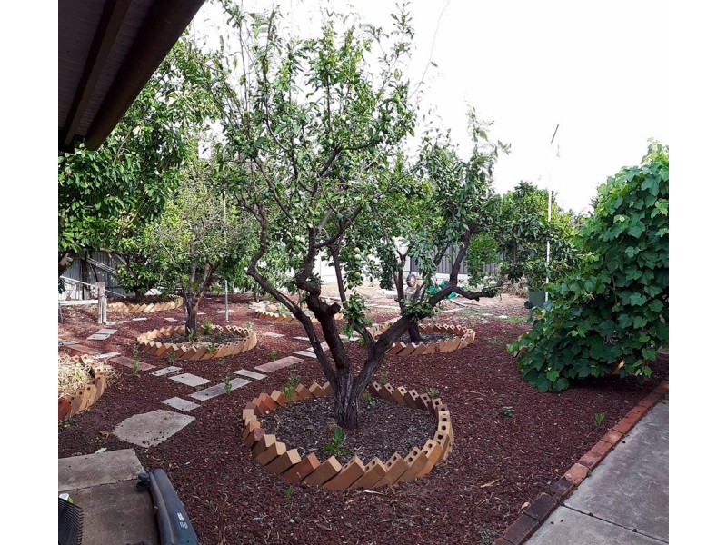 17 Finchley Street, Clovelly Park SA 5042