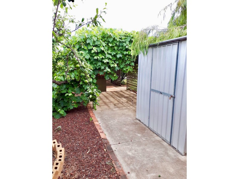 17 Finchley Street, Clovelly Park SA 5042