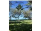 31 Shepherd Road, Eimeo QLD 4740