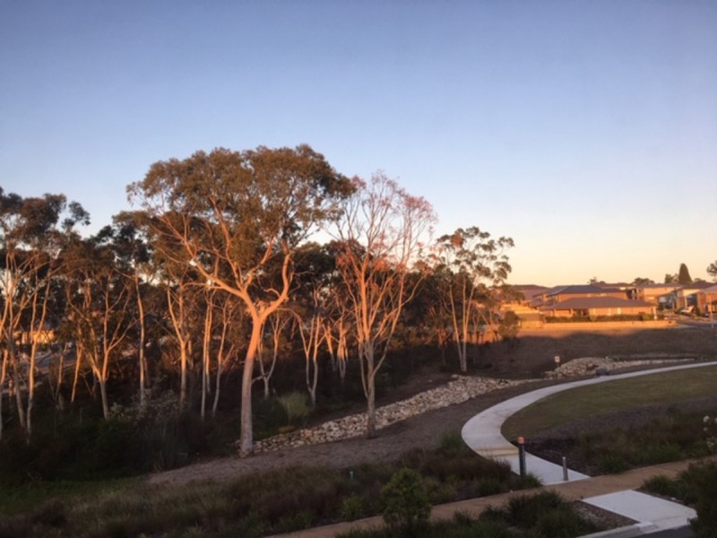 14A Bladensburg Road, Kellyville NSW 2155