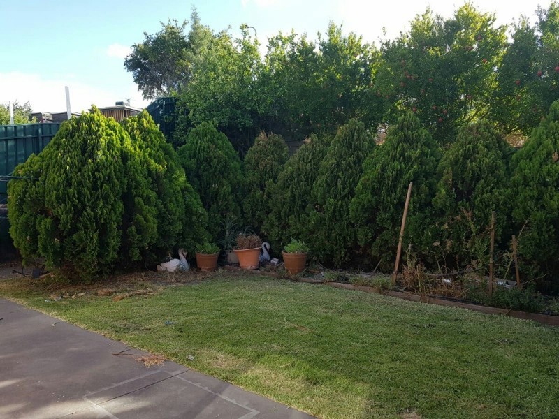 32 River Drive, Athelstone SA 5076