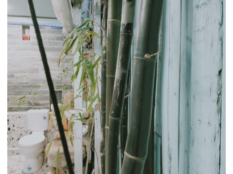 19A The Carriageway, North Rocks NSW 2151