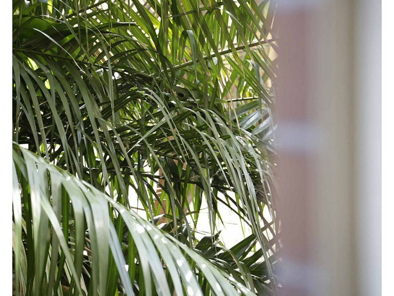 4/333 Bondi Road, Bondi Beach NSW 2026