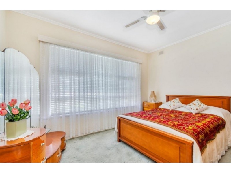 13 Arcadia Avenue, Paradise SA 5075