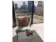 1707/11 Barrack Square, Perth WA 6000
