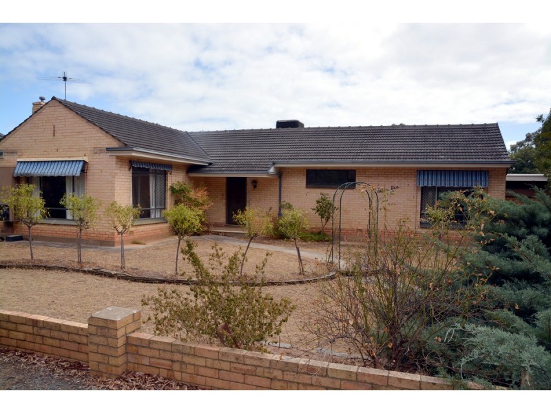 37 Minchinbury Terrace, Marion SA 5043