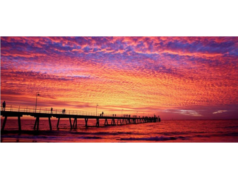 6/16 Tod Street, Glenelg North SA 5045