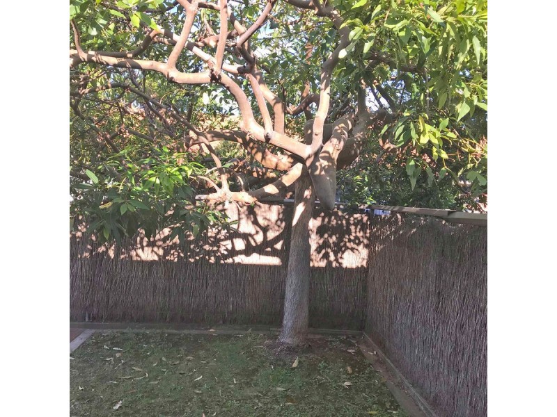 6/8 Chapel Street, Campbelltown SA 5074