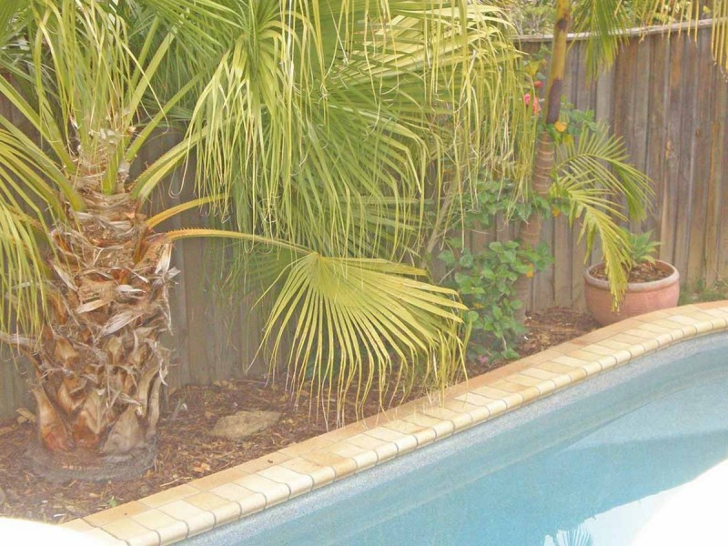 17 Willowbrook Place, Castle Hill NSW 2154