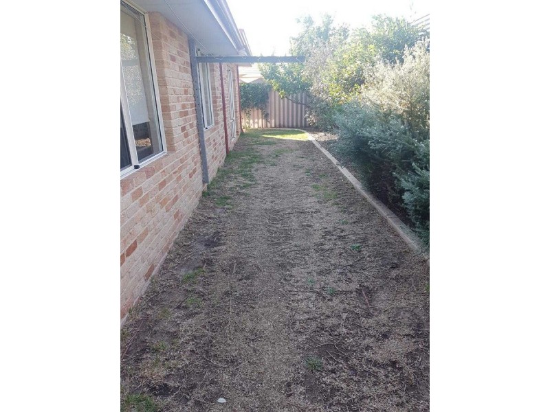 19 Verbena Boulevard, Glen Iris WA 6230