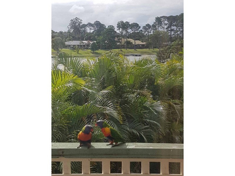 3/43 Murtha Drive, Elanora QLD 4221