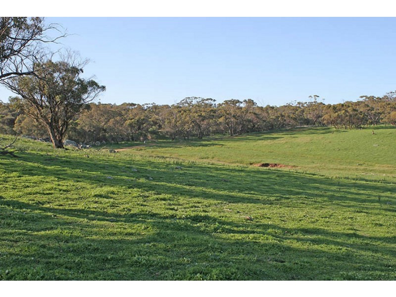 186 Chitty Road, Bakers Hill WA 6562