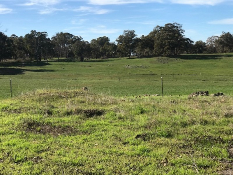 186 Chitty Road, Bakers Hill WA 6562