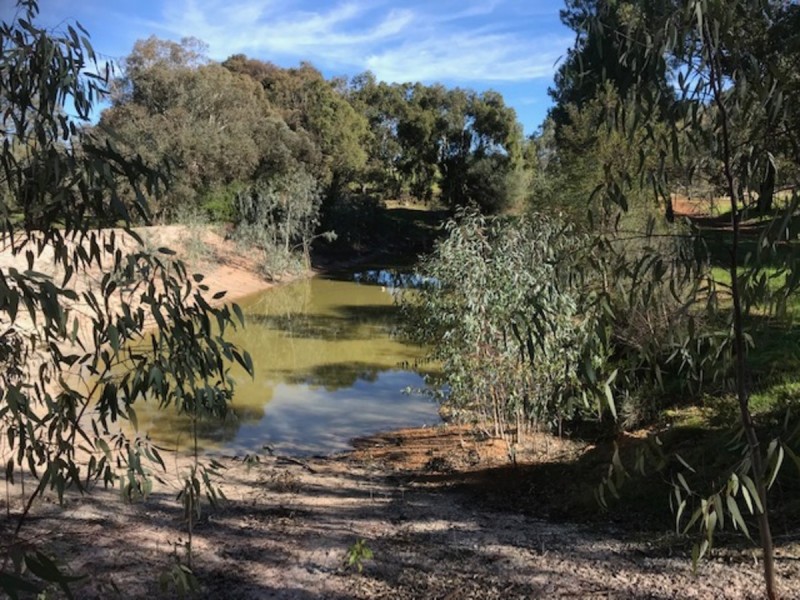 186 Chitty Road, Bakers Hill WA 6562