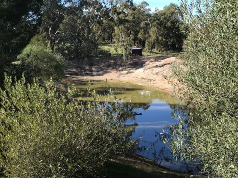 186 Chitty Road, Bakers Hill WA 6562