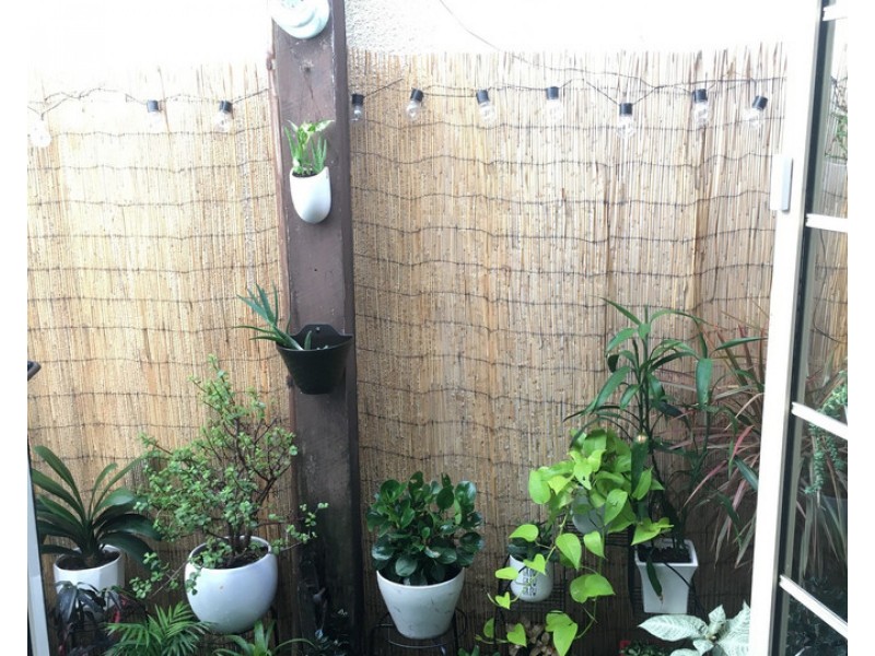 97 Leinster Street, Paddington NSW 2021