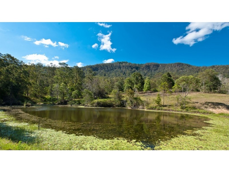 32 Masseys Creek Court, Cedar Creek QLD 4520