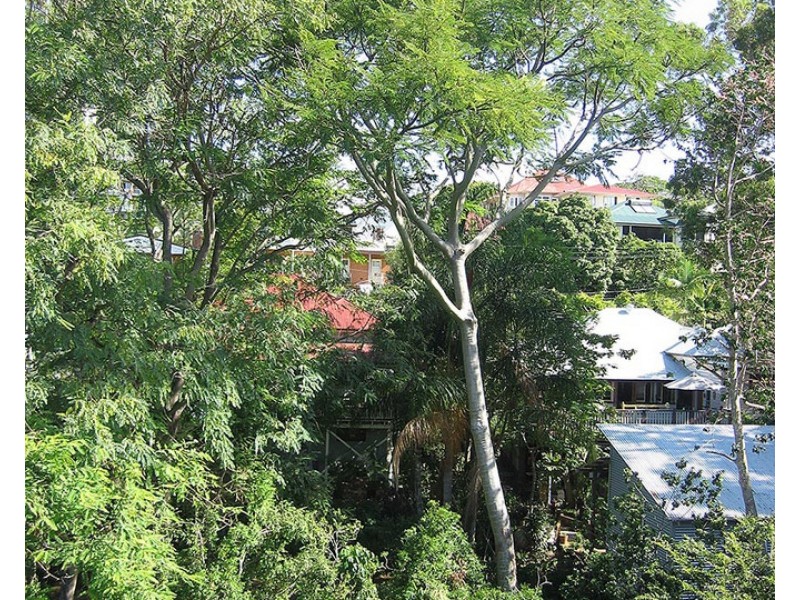 25 Blakeney Street, Highgate Hill QLD 4101