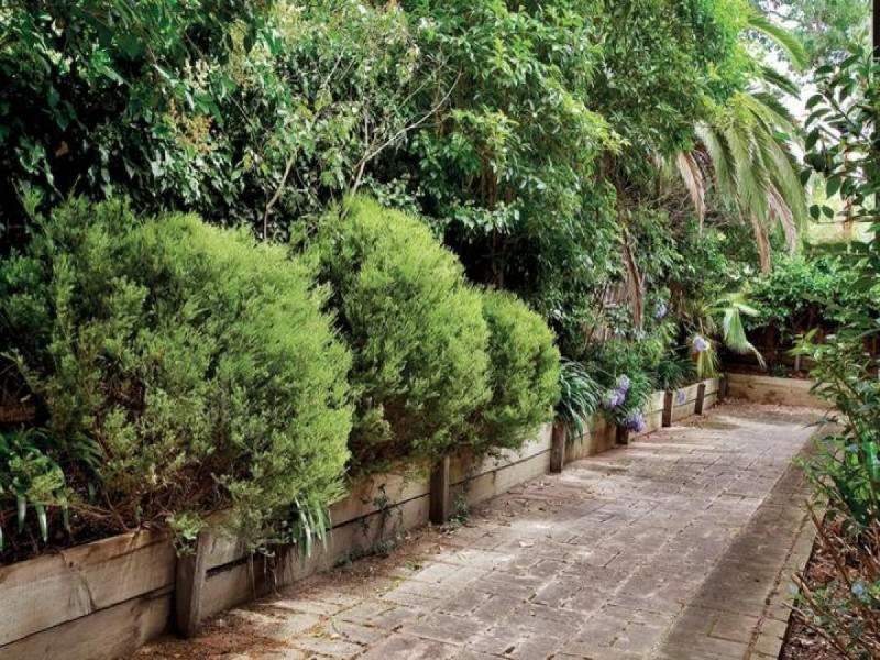 2/18 Raynes Street, Balwyn VIC 3103