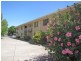 11/231 Anzac Highway, Plympton SA 5038