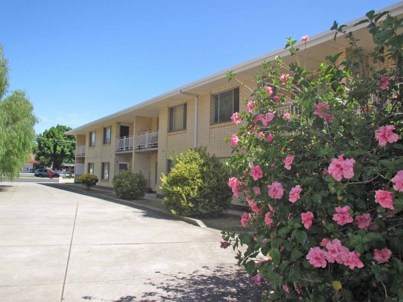 11/231 Anzac Highway, Plympton SA 5038
