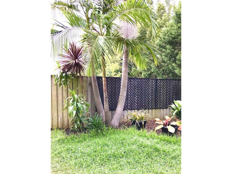43 Burton Street, Concord NSW 2137