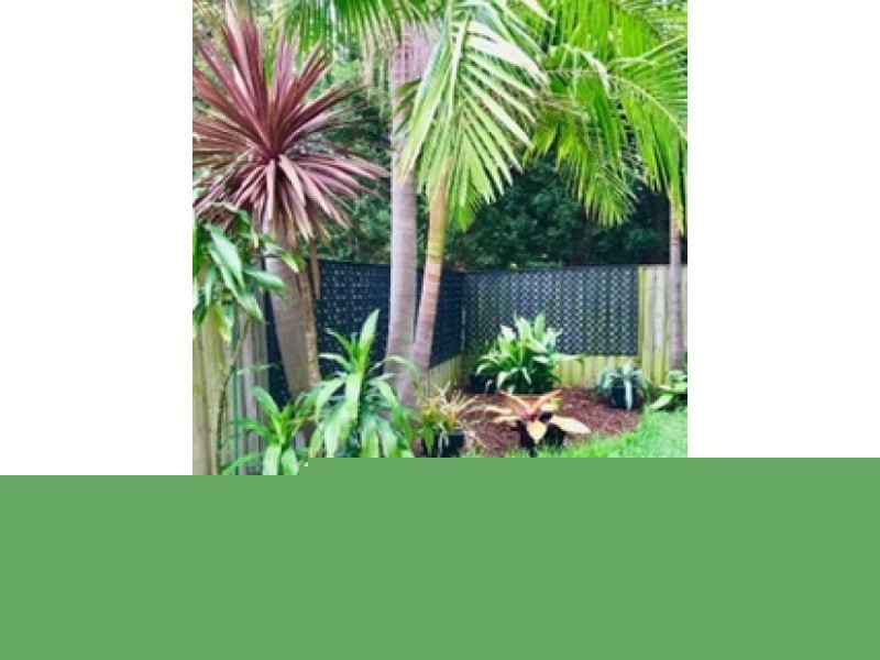 43 Burton Street, Concord NSW 2137