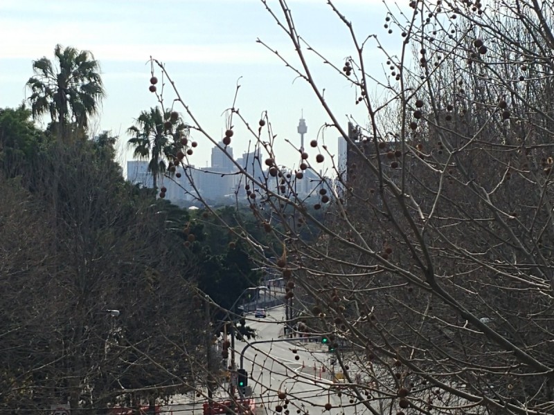 16/109-111 Alison Road, Randwick NSW 2031