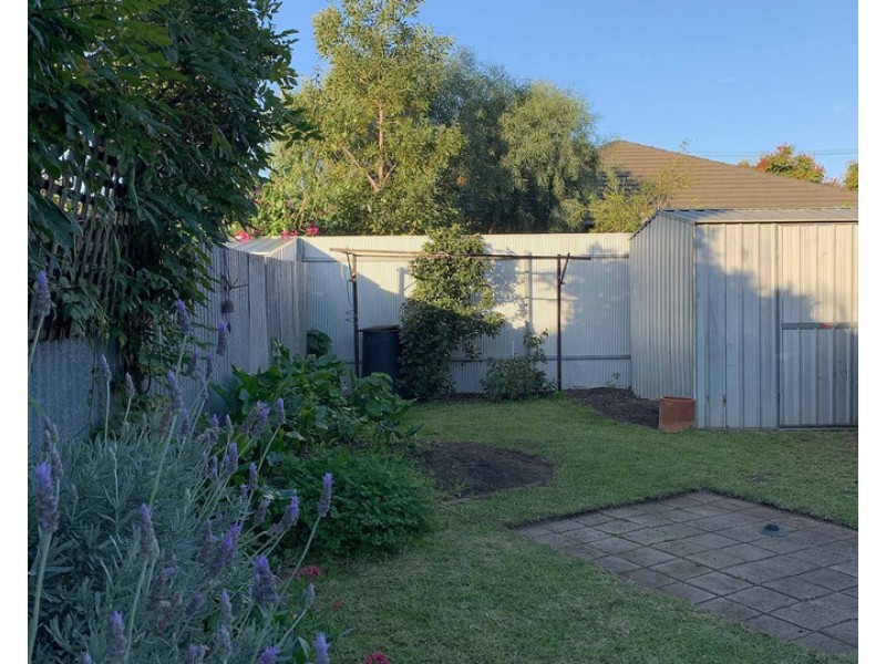 13 Newman Street, Forestville SA 5035