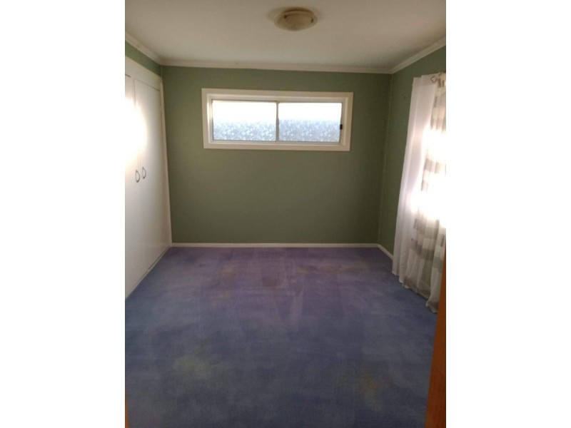 293-303 Leopardwood Road, Cedar Grove QLD 4285