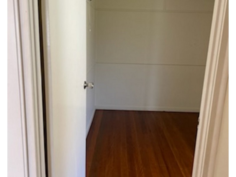 113 Canopus Street, Coorparoo QLD 4151