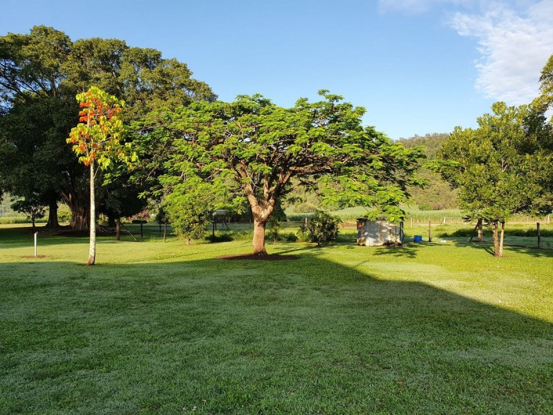 418 Lucas Paddock Road, Pinnacle QLD 4741