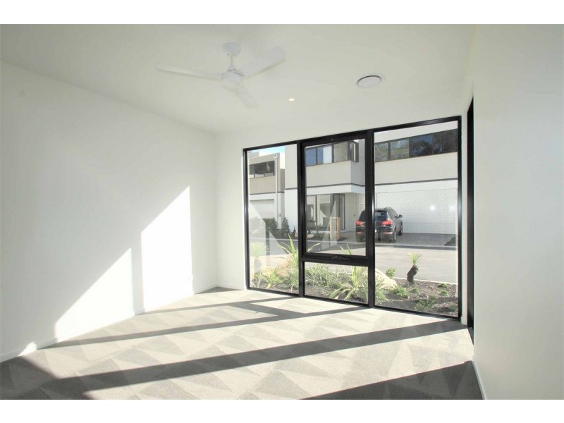 17/2 Brushbox Court, Chapel Hill QLD 4069